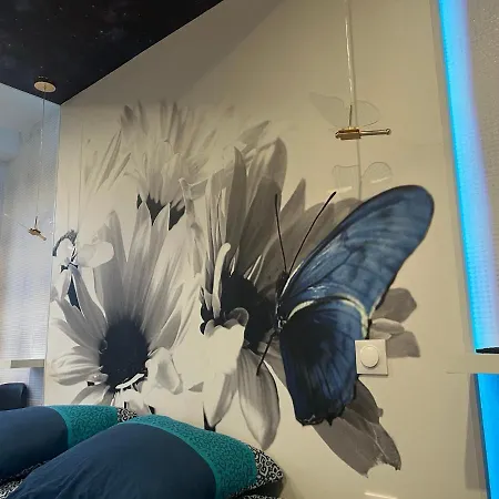 Butterfly בית הארחה Épinal